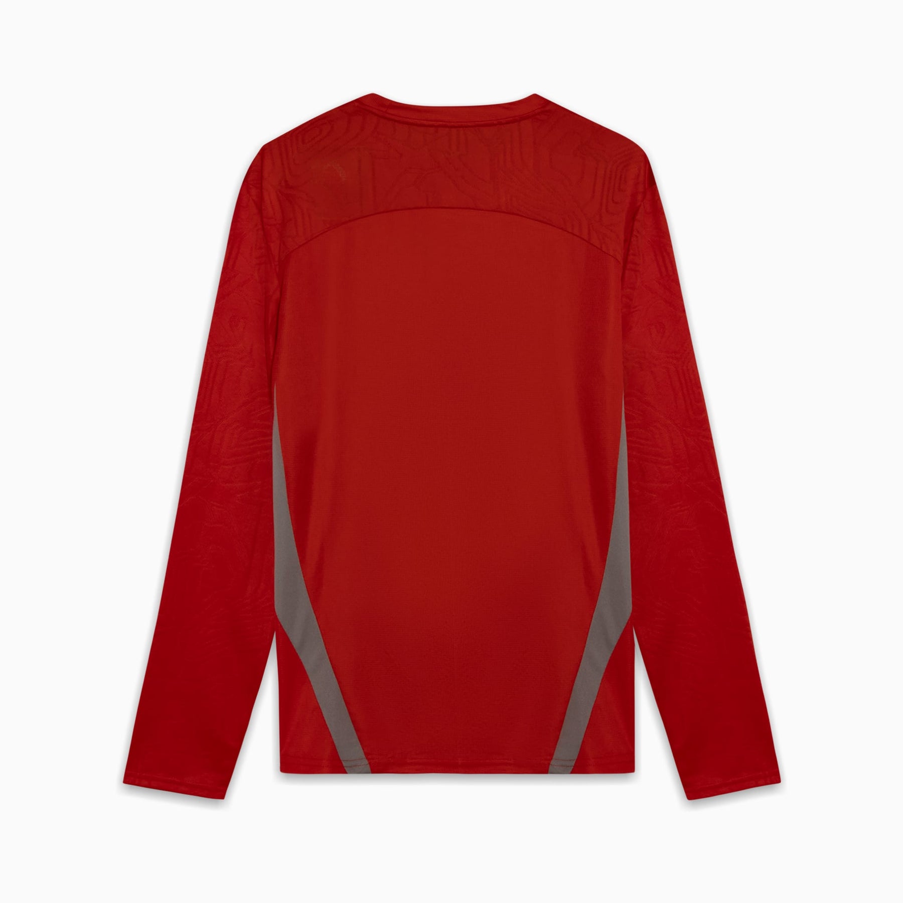 Camisa Goleiro Palmeiras Treino 2025