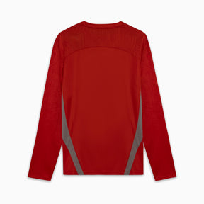 Camisa Goleiro Palmeiras Treino 2025