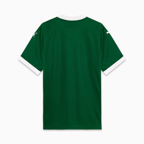 Camisa Palmeiras HOME Torcedor 2025