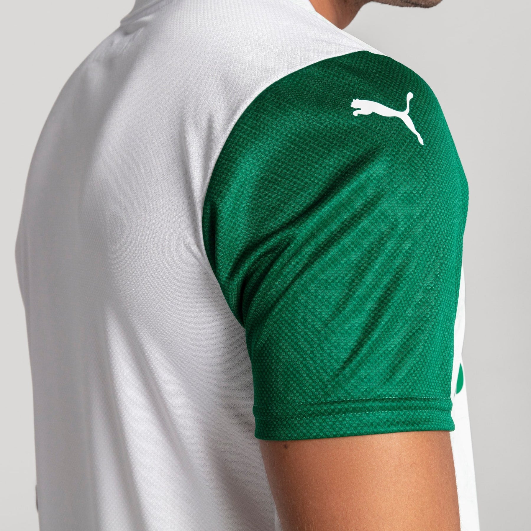 Camisa Palmeiras Jogador AWAY 2025