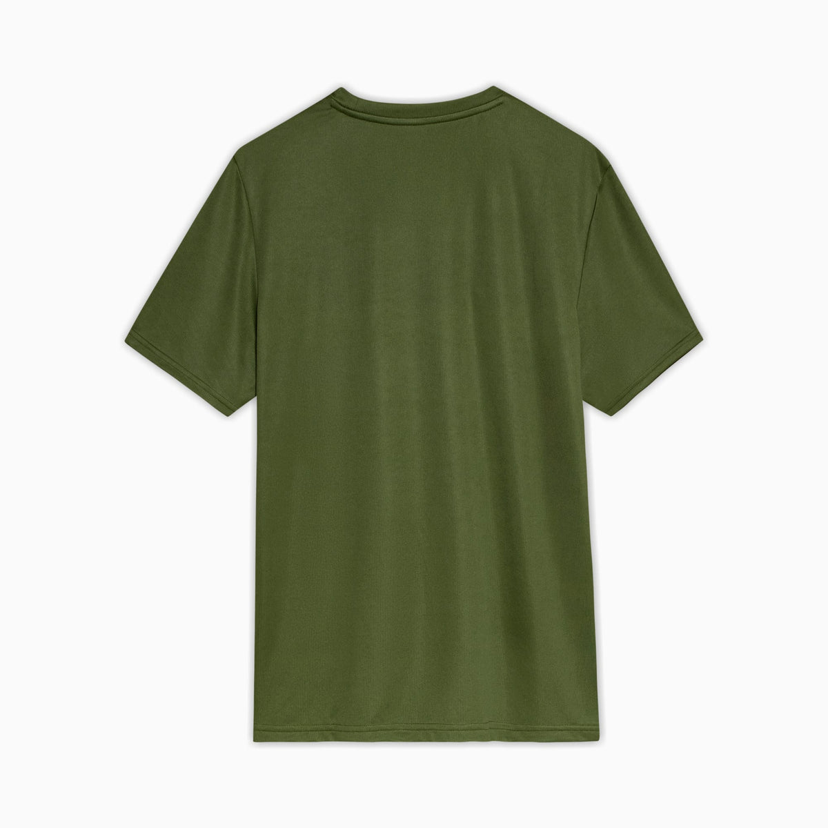 Camiseta Palmeiras Casuals 2025