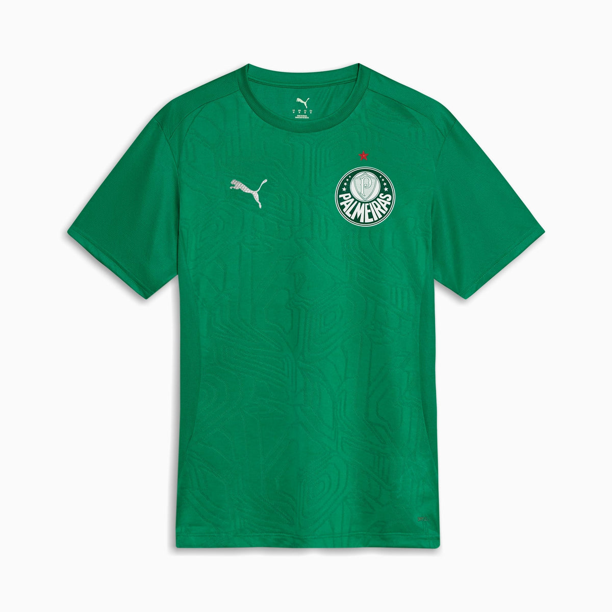 Camisa Palmeiras Treino 2025